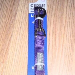 Medium dog leash, color